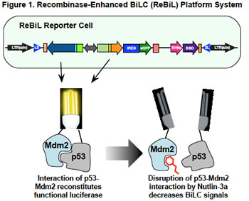 Figure 1. ReBil Platform System